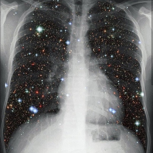 Meet your Posher, Bri - Picture 1 of 1